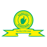 Mamelodi Sundowns logo
