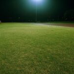 Stock photograph of a football pitch under floodlights at night. It is not a photograph of Egypt, South Africa or Cairo International Stadium.