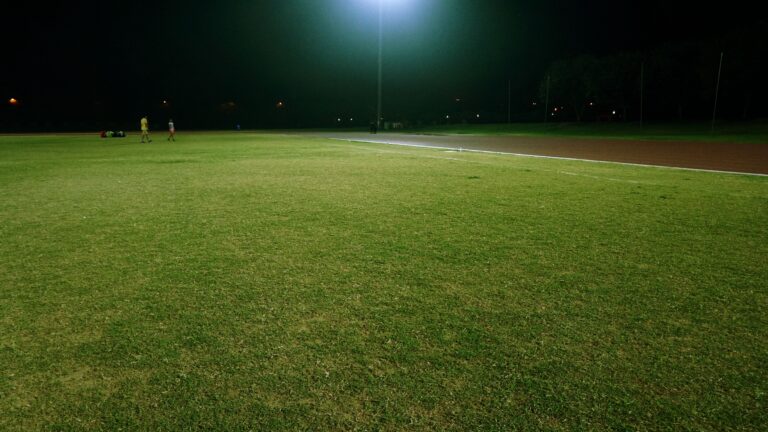 Stock photograph of a football pitch under floodlights at night. It is not a photograph of Egypt, South Africa or Cairo International Stadium.